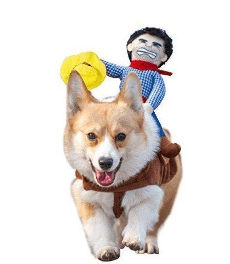 Cozy Cotton Canine Attire-1